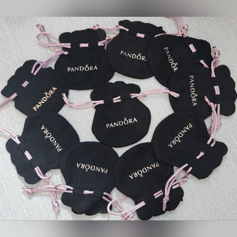 🩵 SOLD!! 🛎 Pandora Pouch